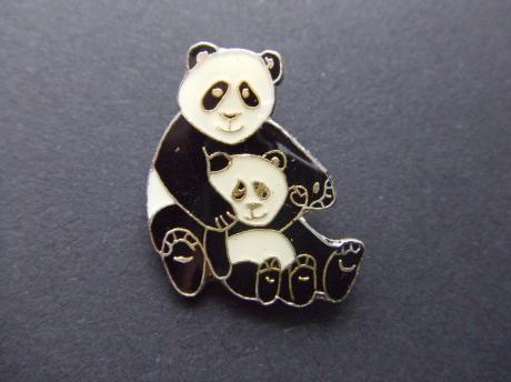 Pandabeer met jong